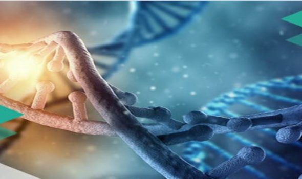 Xét nghiệm ADN GENPRO, Trang chủ ADN GENPRO